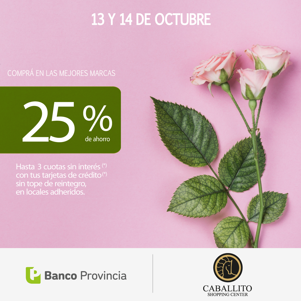 Especial Banco Provincia Día de la Madre